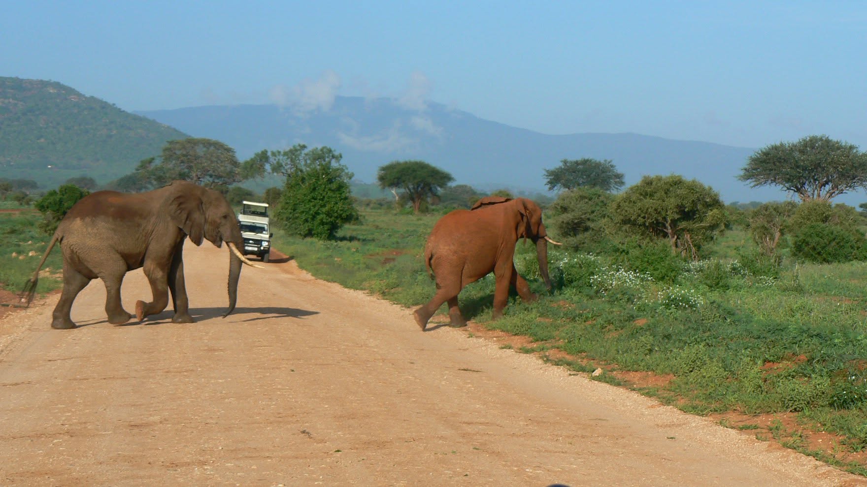 Tsavo East two day safari