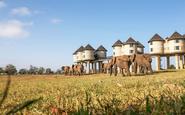 2 Days Taita Hills – Salt Lick Safari gallery image 2